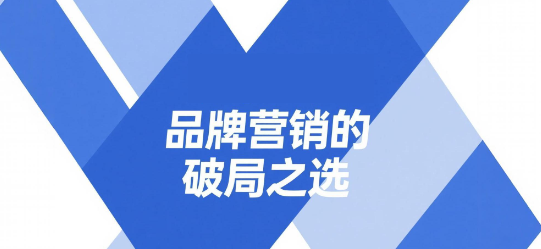 安菲云：品牌营销的破局之选